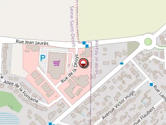 Carte de Fligny Eric à Courtry