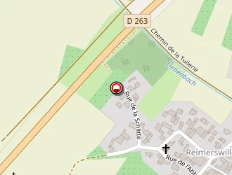 Carte de Celtes (earl) à Betschdorf