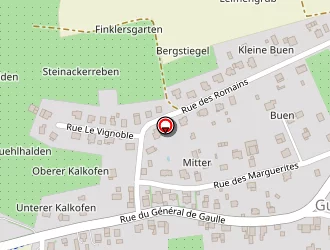 Carte de Kuhn Xavier à Gunstett