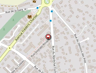 Carte de Cochet Marianne à Orgeval