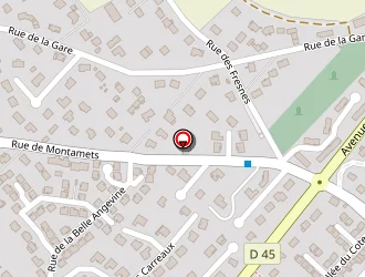 Carte de Lavandière à Orgeval