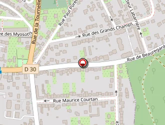 Carte de Taxi Tito à Poissy