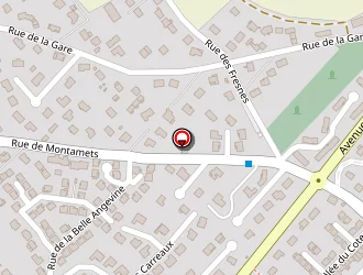 Carte de Caillot Jean Paul à Orgeval