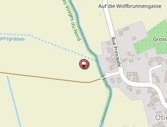 Carte de Vitonet à Haguenau