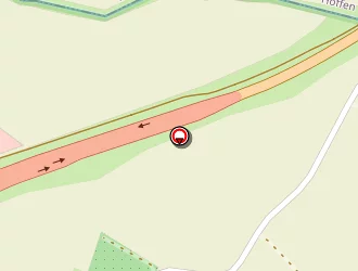 Carte de Schaming Rachel à Bischwiller