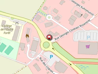 Carte de Autovision Contrôle Technique De Véhicules Du Roesselbach Centre Agréé à Soultz-sous-forêts