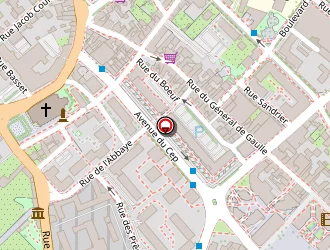 Carte de Patrimmo à Poissy