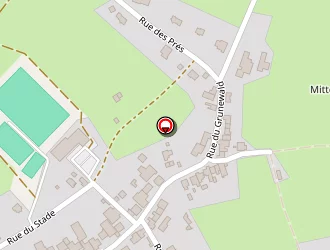 Carte de Schneider René à Waldhambach