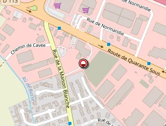 Carte de De Sousa Raul Bras à Orgeval