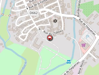 Carte de S.t.a.l. à Reichshoffen