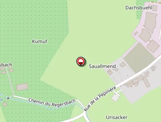 Carte de Tuyaux D'orgues à Wœrth