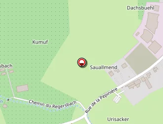 Carte de Restaurant La Pépinière à Wœrth