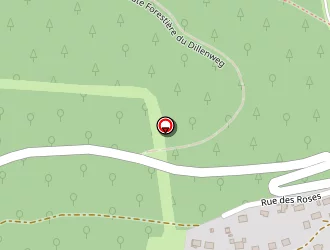 Carte de Mairie à Rosteig