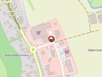 Carte de Fleurs Et Passions Mario Duchmann à Wœrth