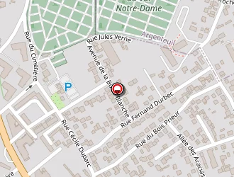 Carte de Flash Auto à Bezons