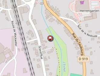 Carte de Trans Express à Diemeringen