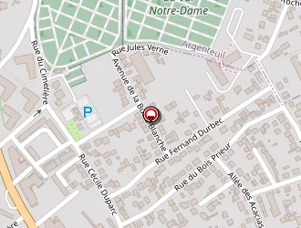 Carte de Entreprise Robert à Bezons