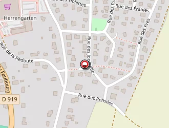 Carte de Panda Bureau à Diemeringen