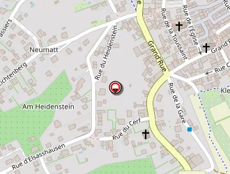 Carte de Pizza Délice à Wœrth