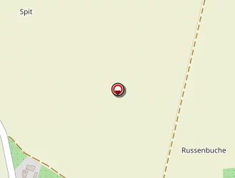 Carte de Grossmann Stéphane à Wintzenbach