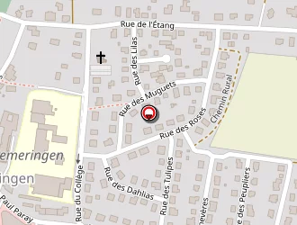 Carte de Moritz Jean-pierre à Diemeringen