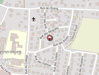 Carte de Faby Karine à Diemeringen