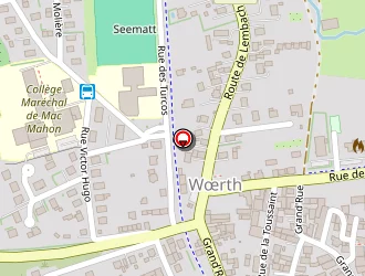 Carte de Gymnase à Wœrth