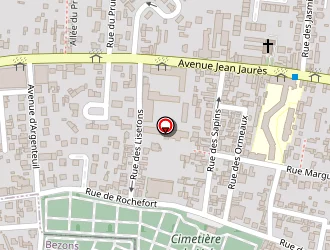 Carte de Petric Elisei à Argenteuil