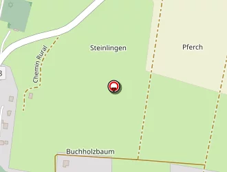 Carte de Walther Eric à Diemeringen