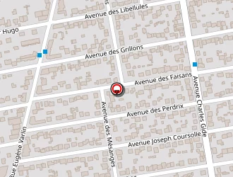 Carte de Tomasi Stéphane à Villeparisis