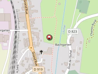 Carte de Bucher P. à Diemeringen