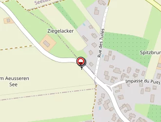 Carte de Haennel Bruno à Trimbach