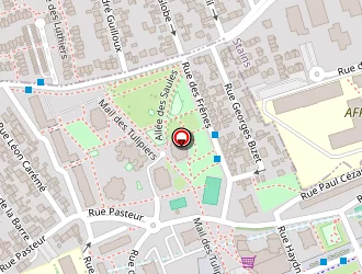 Carte de Ndiaye Boubacar à Saint-denis