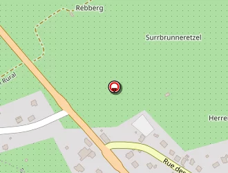 Carte de Fleurs Ernst à Sarre-union