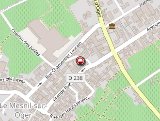 Carte de Ei Boutin Franck à Mesnil-sur-oger (le)