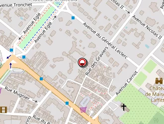 Carte de Ralli Bruno à Maisons-laffitte