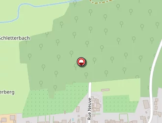 Carte de Wolf Jean Marc à Frœschwiller