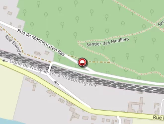 Carte de Saur à Ferté-sous-jouarre (la)