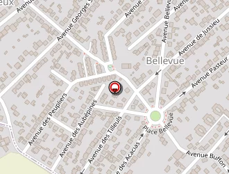 Carte de Billerau Daniel à Villepinte