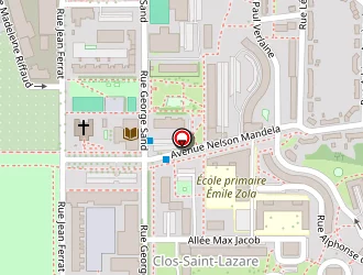 Carte de Optique Moliere à Stains