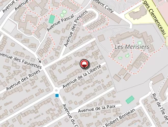 Carte de Javelle Patrick à Villepinte