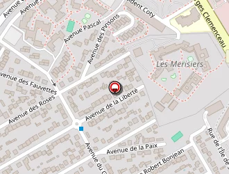 Carte de Mind Consulting à Villepinte