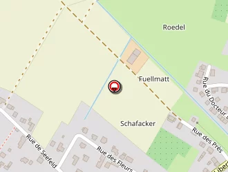 Carte de Rapp Florent à Schœnenbourg