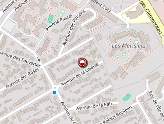 Carte de Sina Services à Villepinte