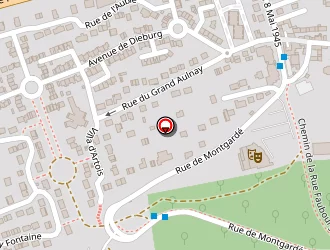 Carte de Bergevin Patrick à Aubergenville