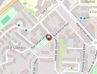 Carte de Gain De Temps Pro Services à Achères