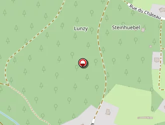 Carte de Auberge Des Mésanges à Meisenthal