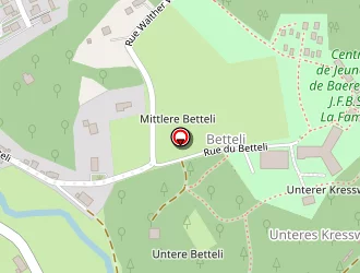 Carte de Koscher Hubert à Baerenthal