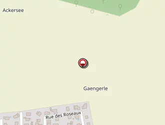 Carte de Grabowski Dirk à Niederlauterbach