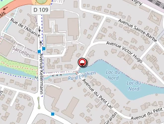 Carte de Babic Tania à Saint-gratien